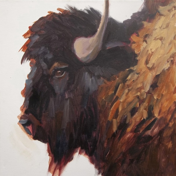 Click here to view Bison Bull  by Susan Bell