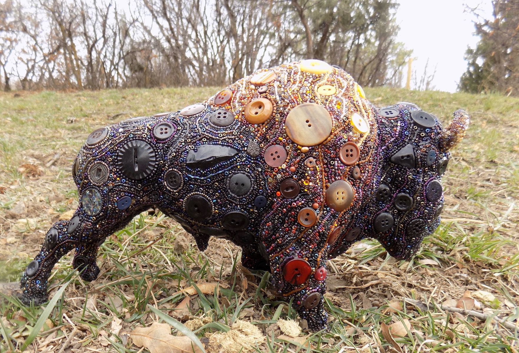 Click here to view Tatonka by Susan Bell