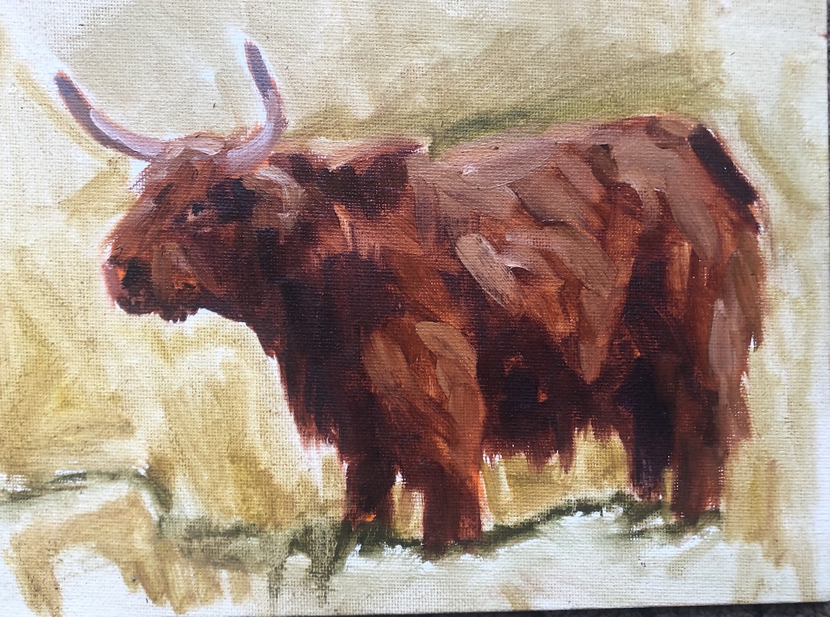 Click here to view Highland Cow by Susan Bell