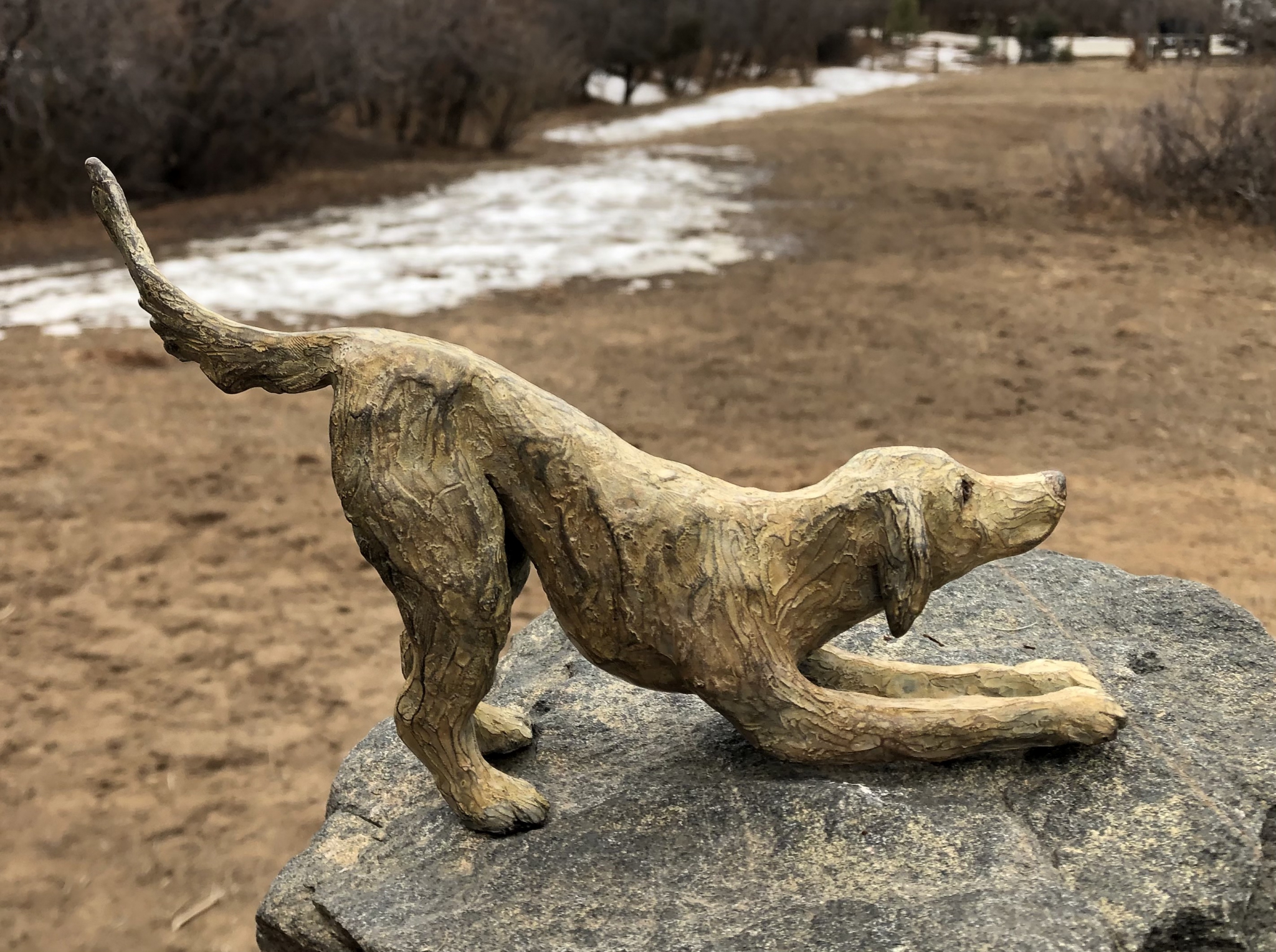 Click here to view Down Doggy by Susan Bell