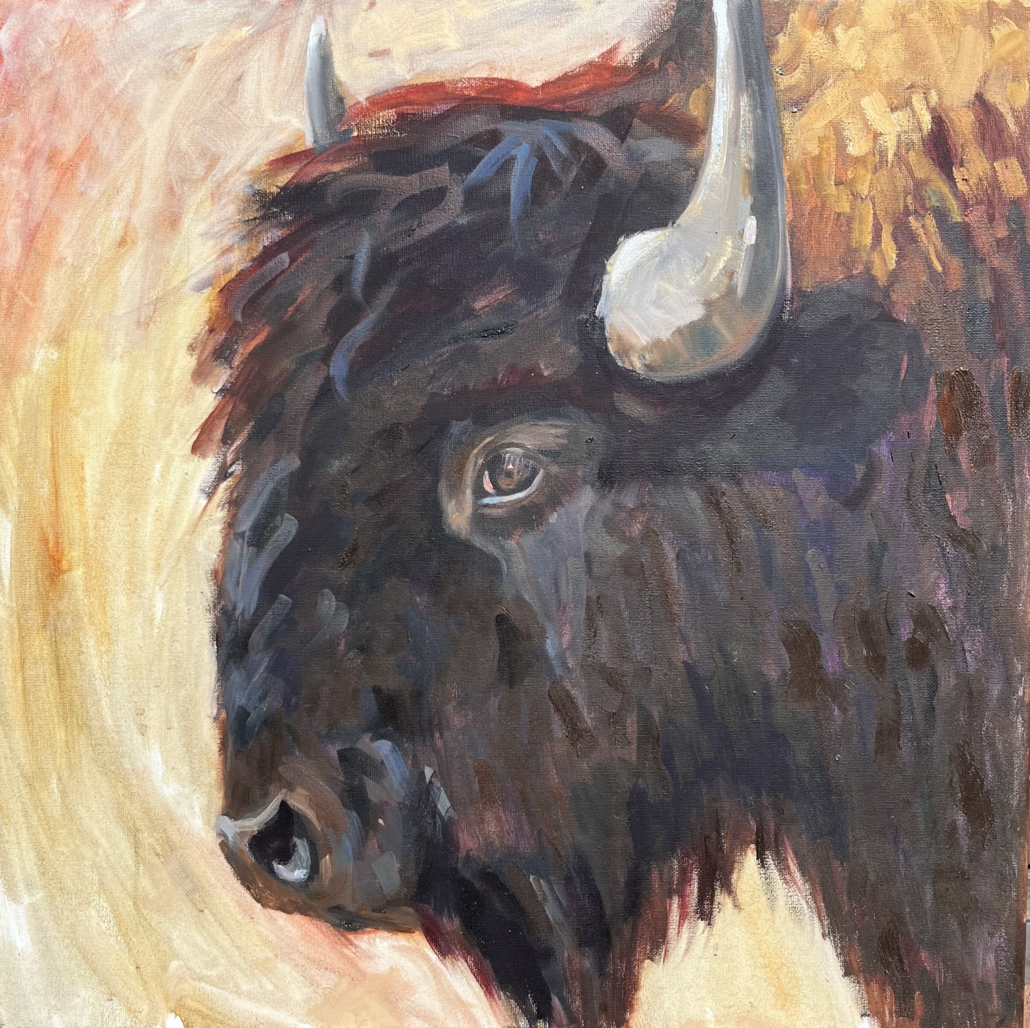 Click here to view Young Bull by Susan Bell