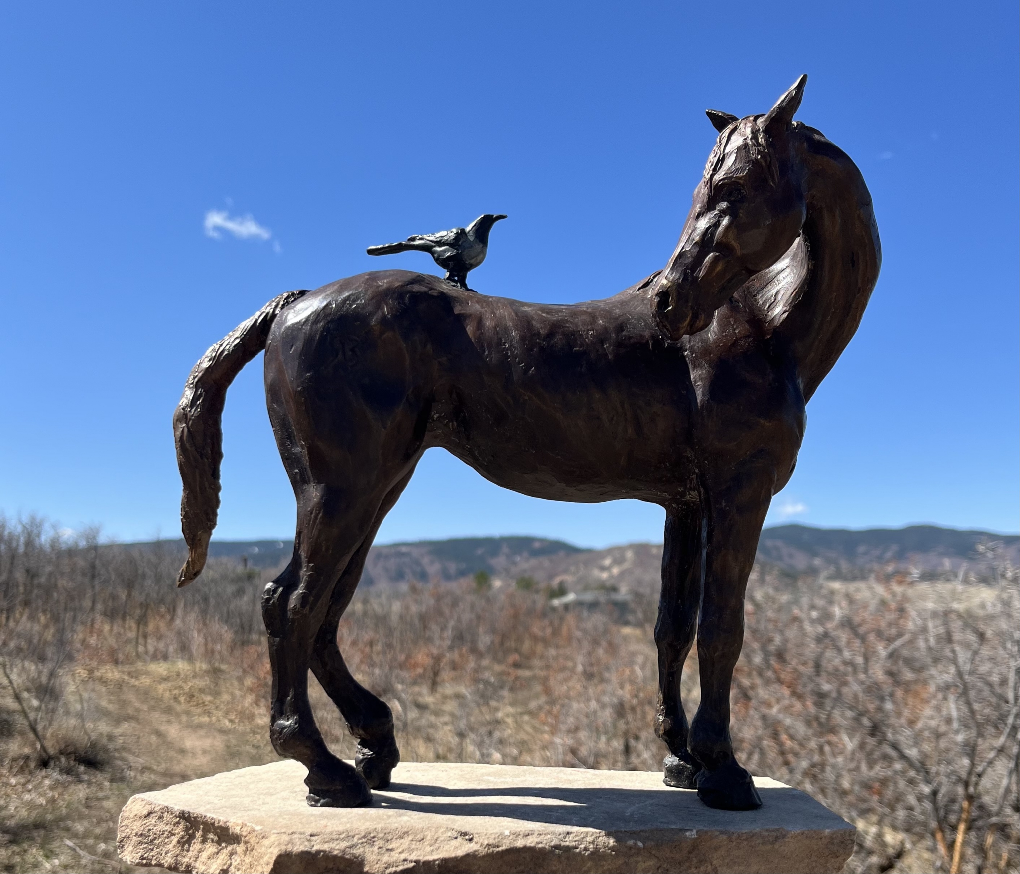 Click here to view Take the message over the Mountain by Susan Bell