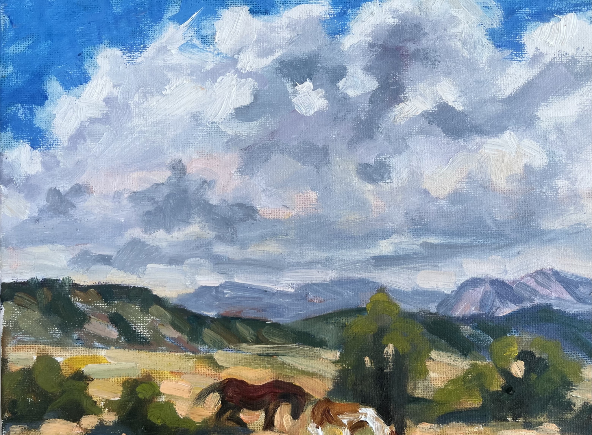 Click here to view Cloud Drama by Susan Bell