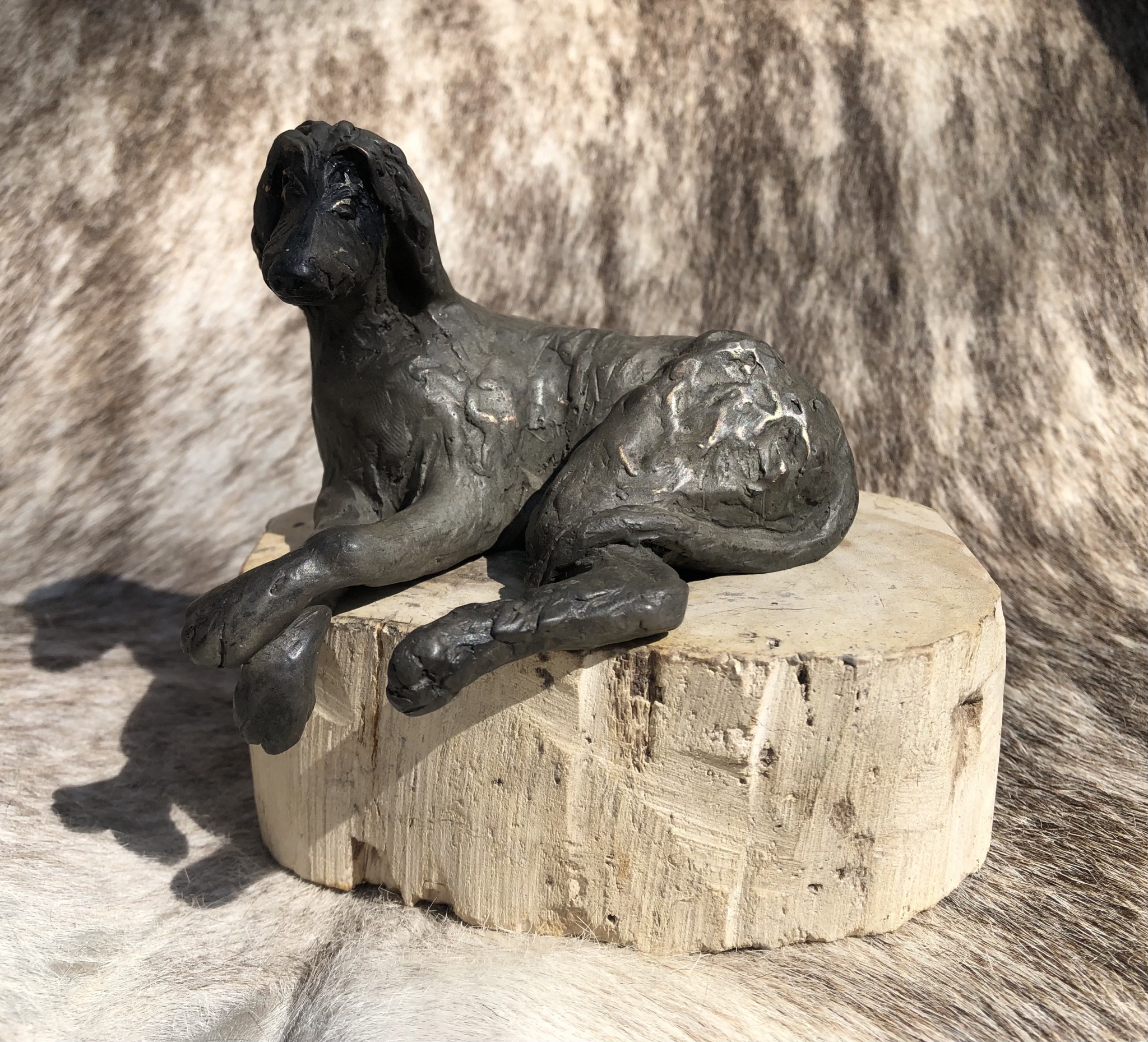 Click here to view Chillin by Susan Bell