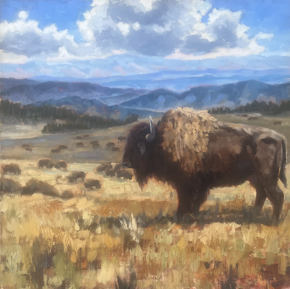 Click here to view The Heart of Freedom by Susan Bell