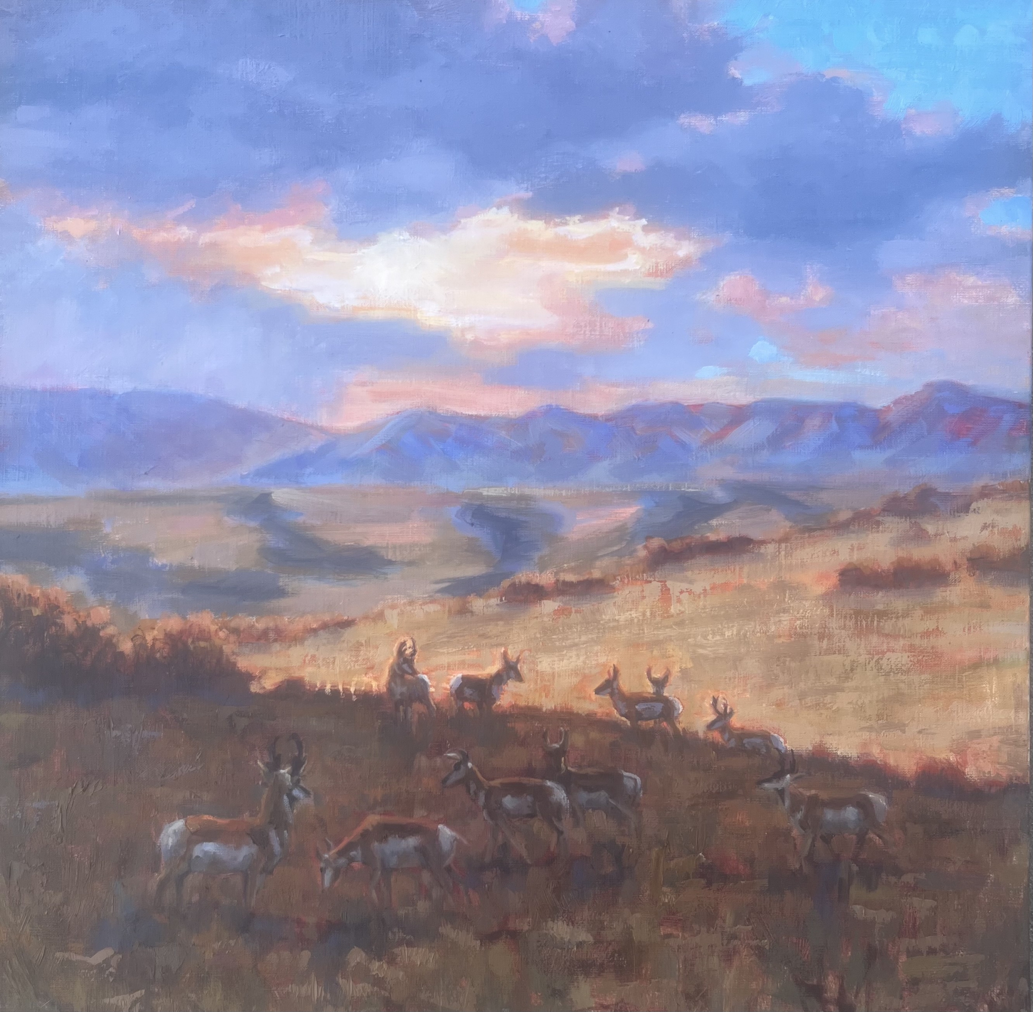 Click here to view Twilight Shadows by Susan Bell