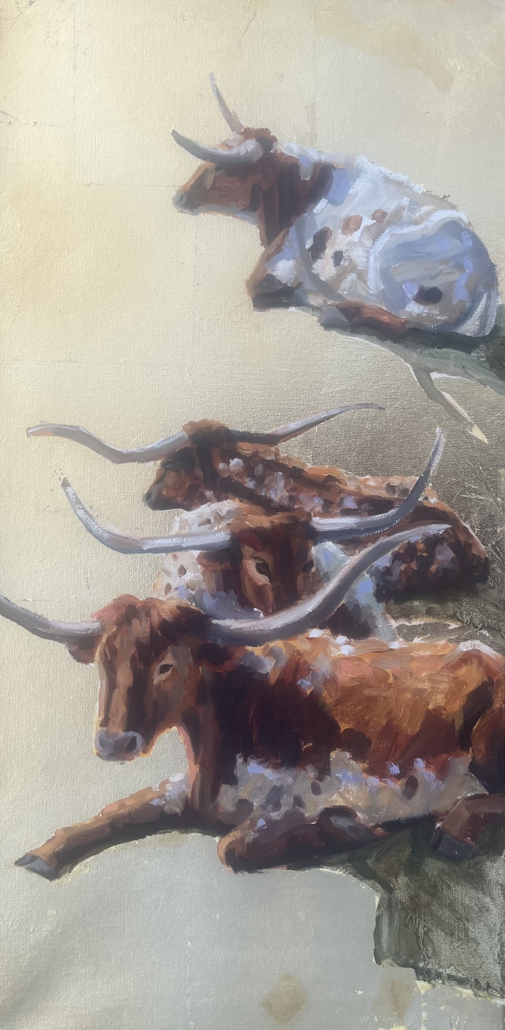 Click here to view Longhorns in a row by Susan Bell