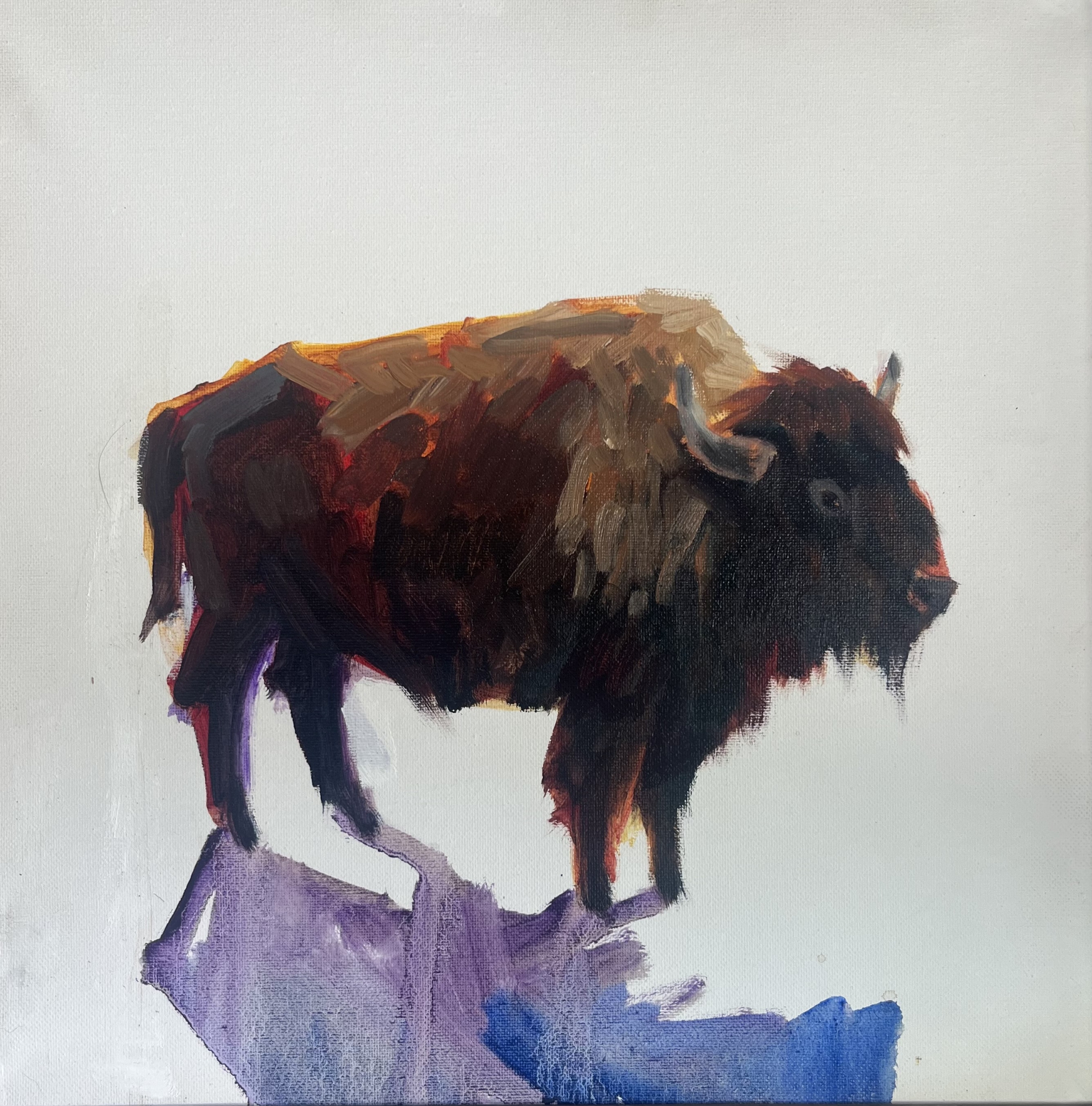 Click here to view Plains Prince by Susan Bell
