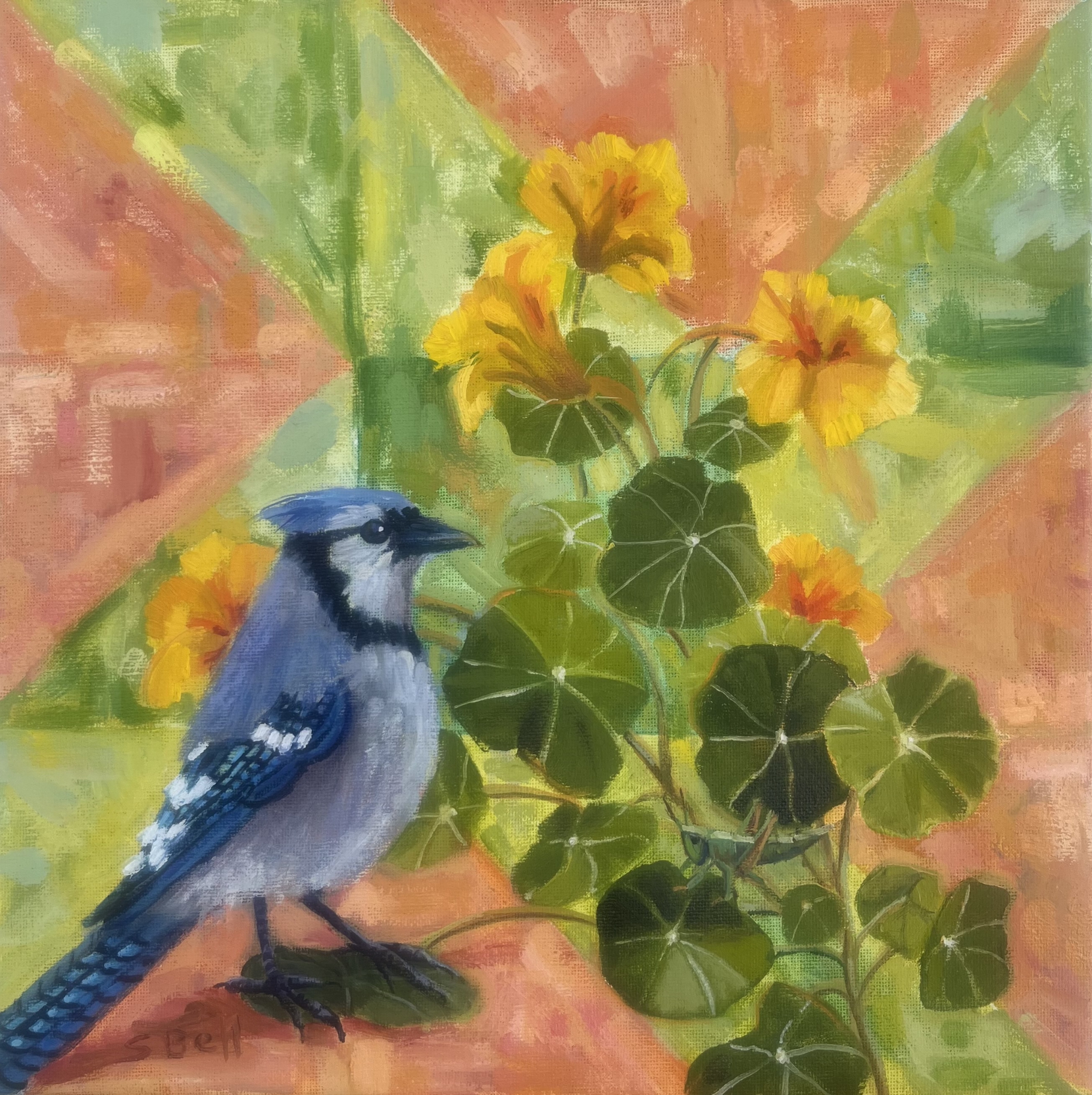 Click here to view Peaceful Hours 1 Blue Jay by Susan Bell
