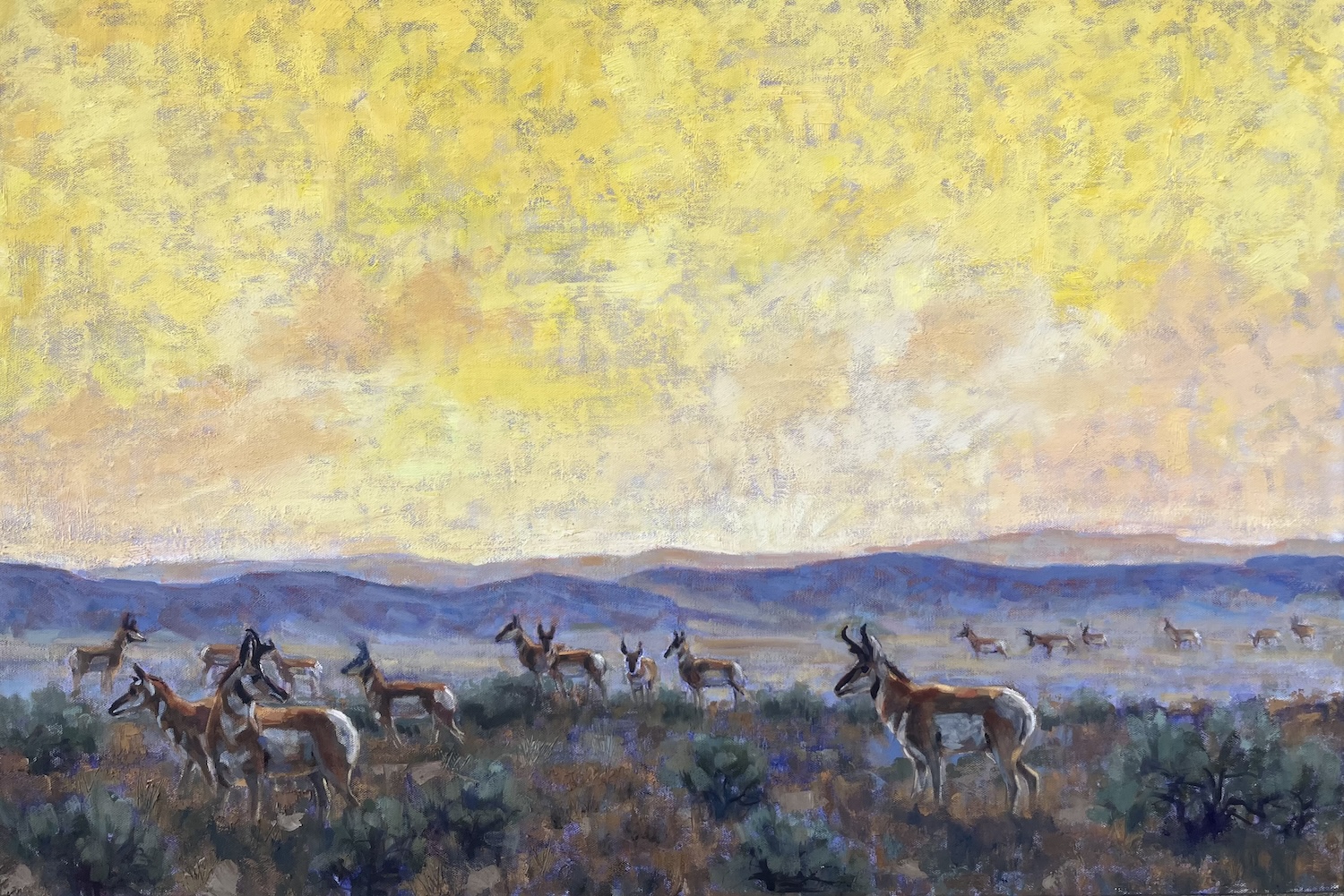 Click here to view Golden Hour by Susan Bell