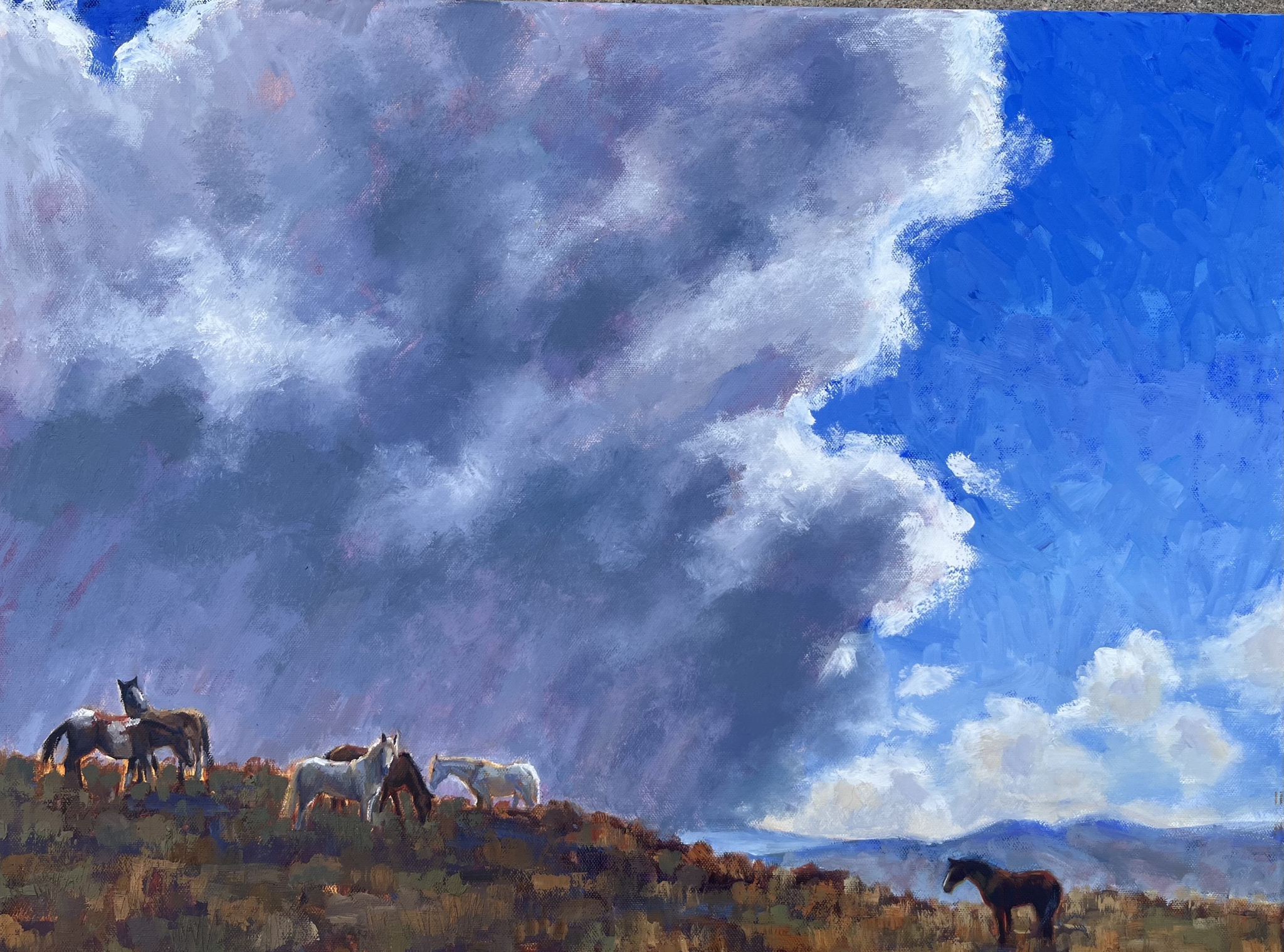 Click here to view Distant Thunder by Susan Bell