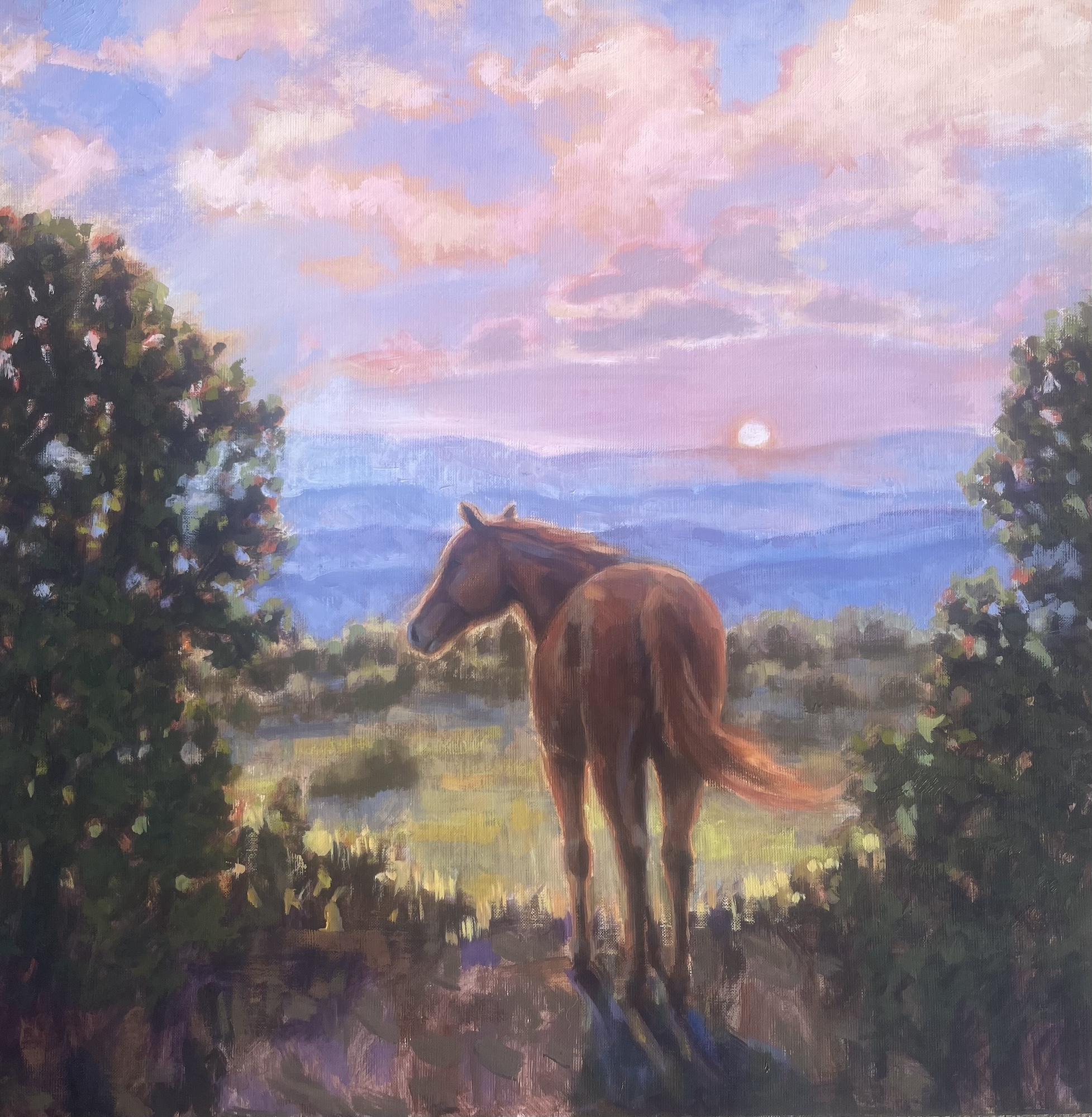 Click here to view Found What She Was Looking Fofr by Susan Bell