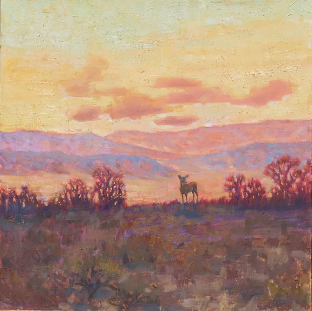 Click here to view Hidden Fawn by Susan Bell