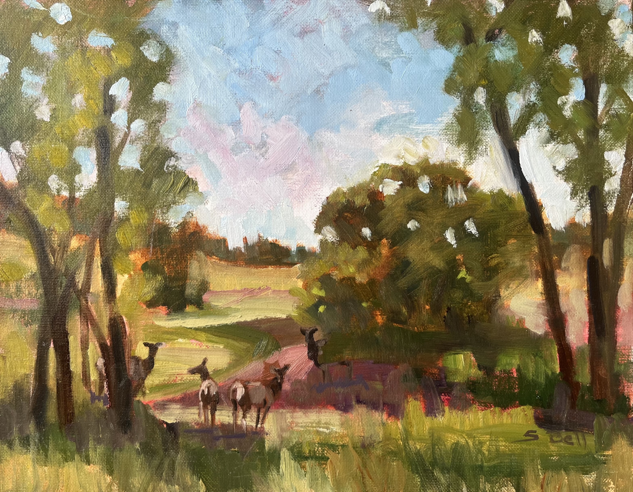 Castle Elk Herd by Susan Bell