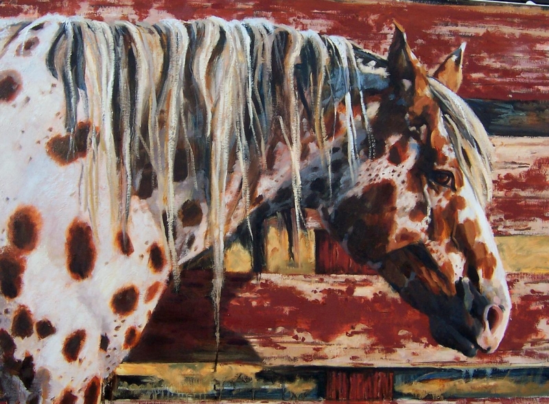 Click here to view Warpaint by Susan Bell
